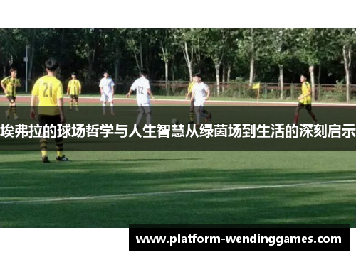 埃弗拉的球场哲学与人生智慧从绿茵场到生活的深刻启示